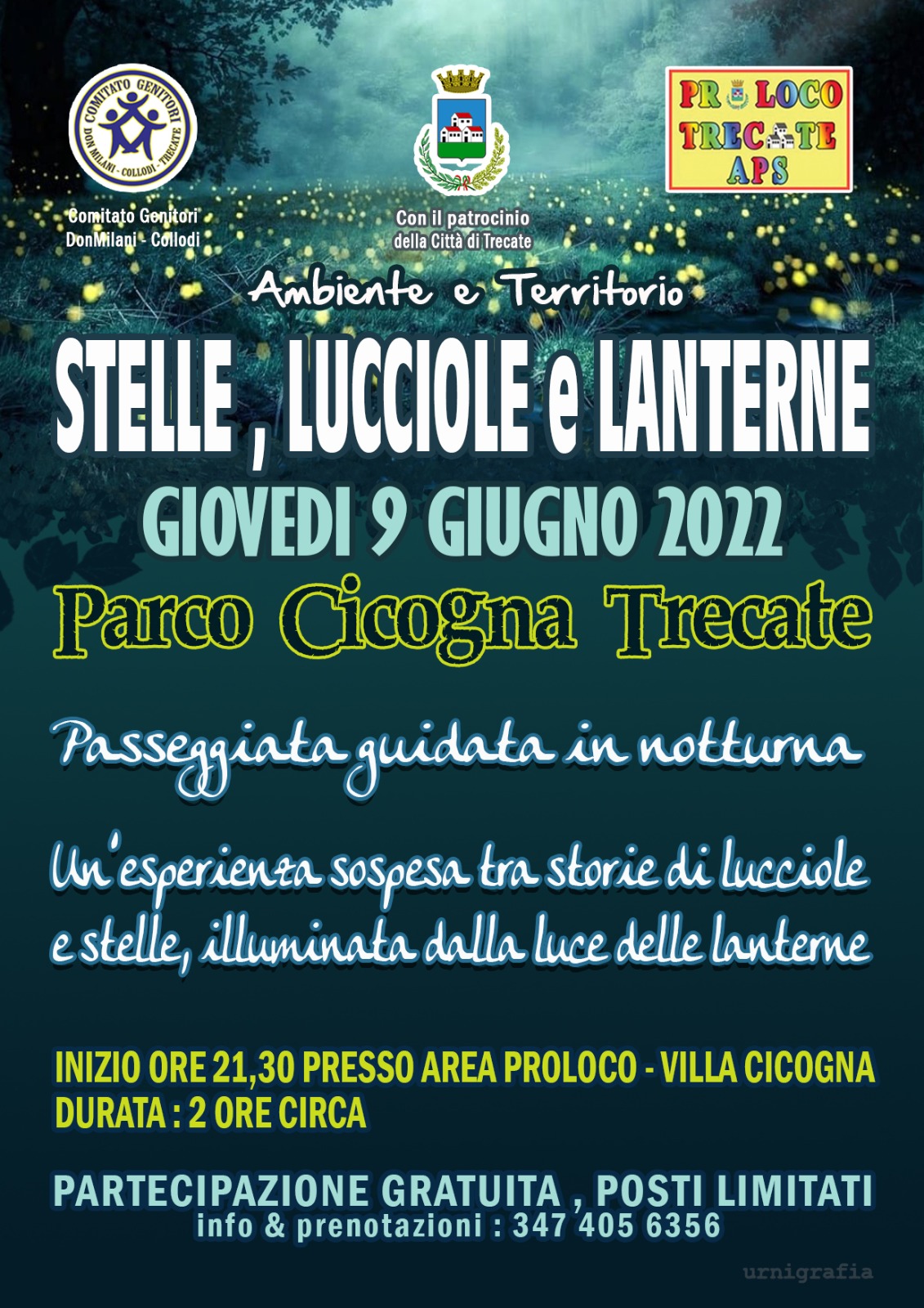 lucciole22