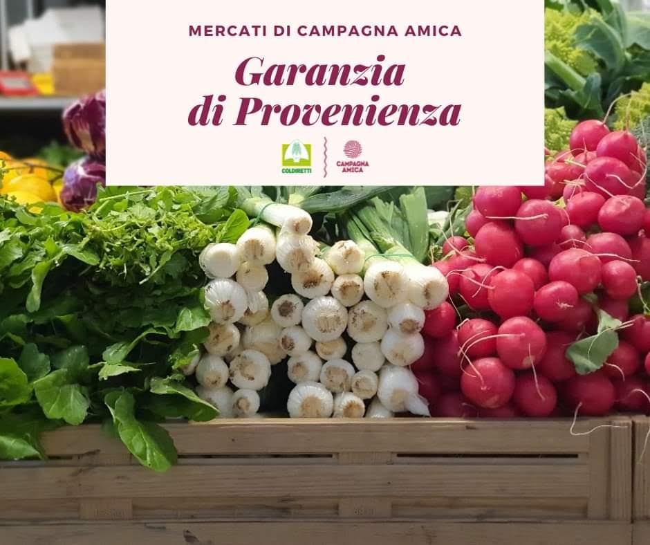 foto Campagna amica 16 luglio