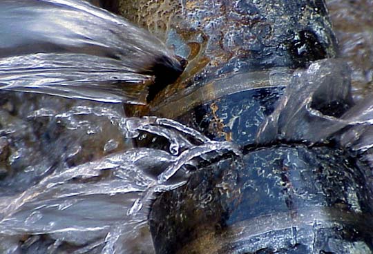 foto predita acqua