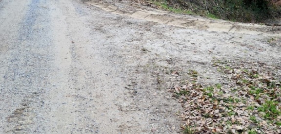 foto strade bianche