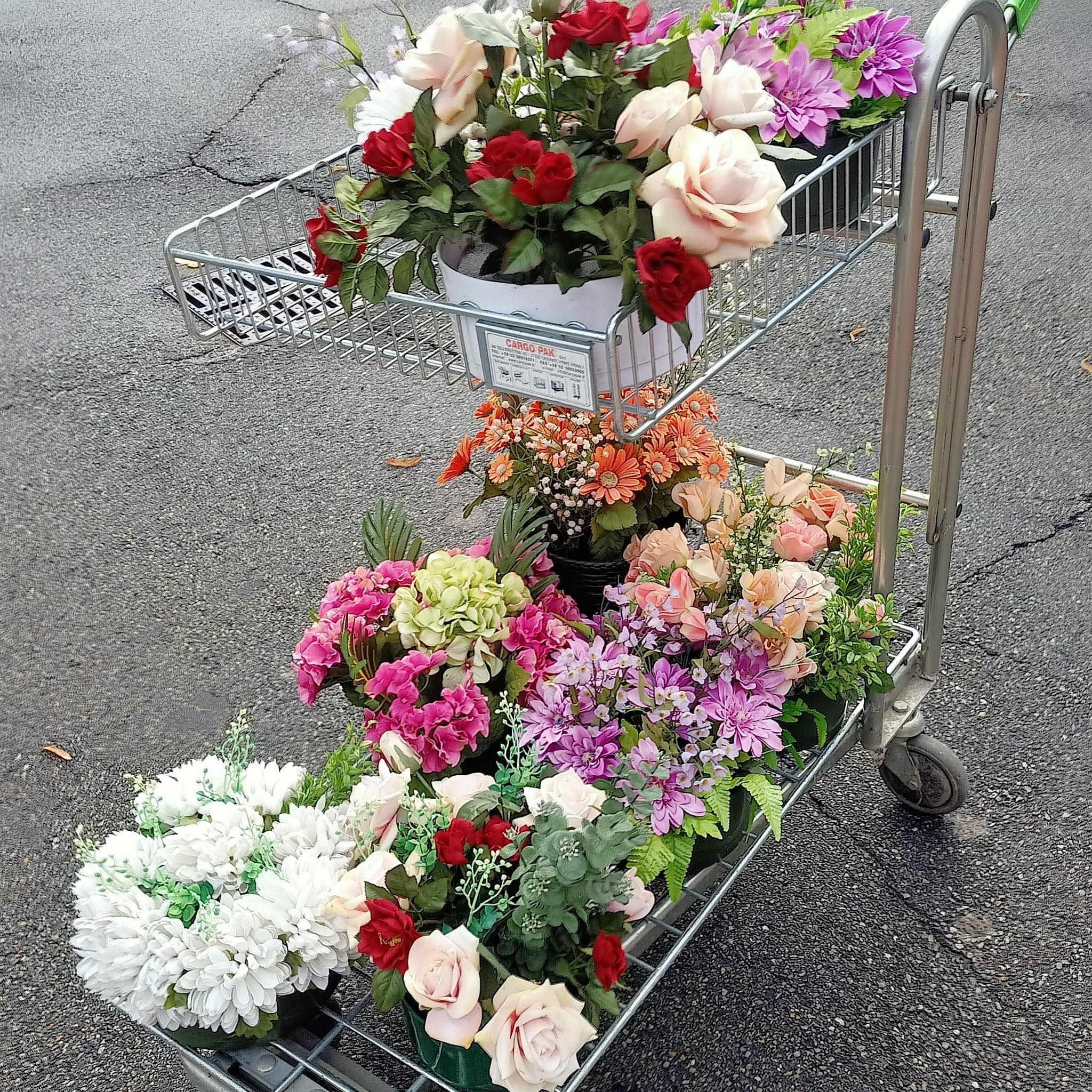 porta un fiore a chi non ce lha