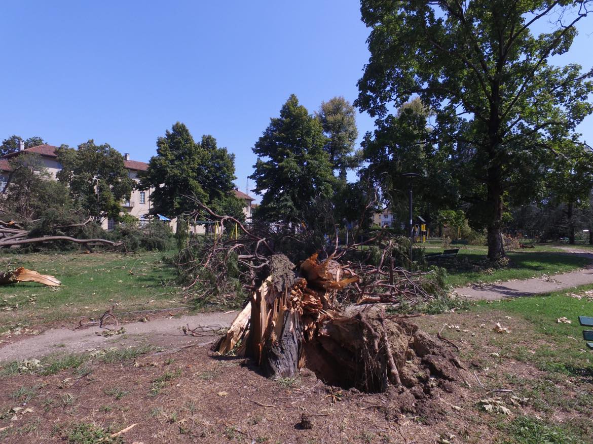 foto riapertura parco Cicogna