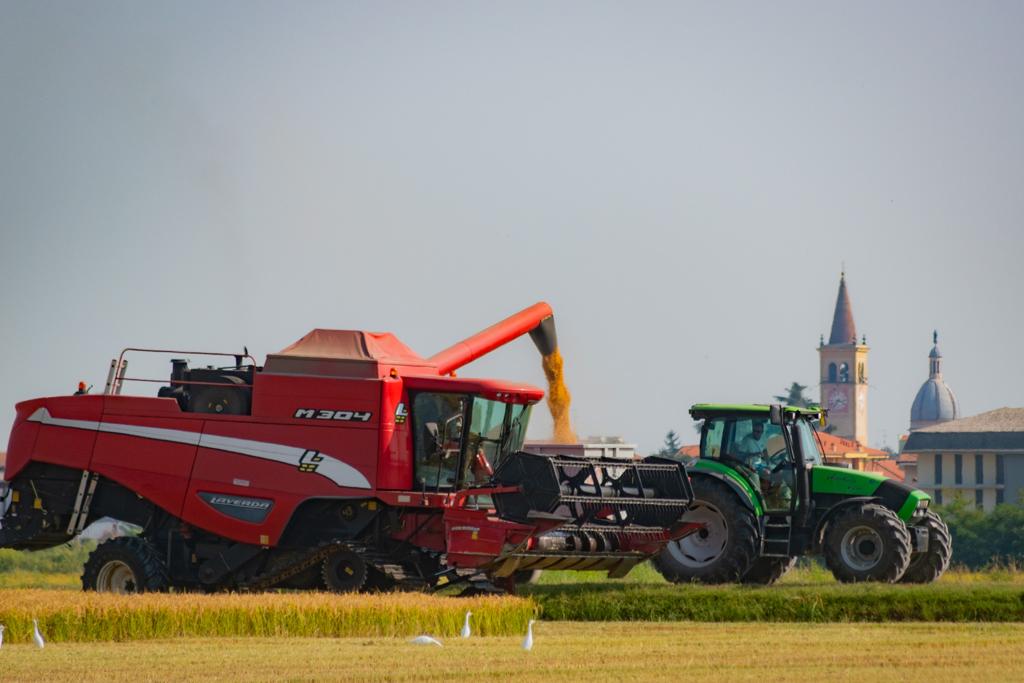 regolamento Fiera agricola